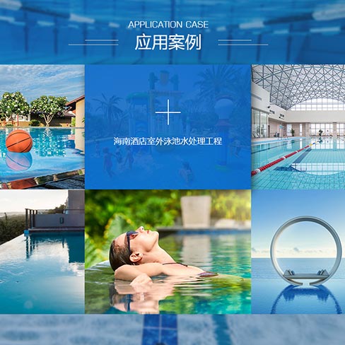 365网媒网站建设案例:深圳市蓝盟泳池桑拿设备有限公司